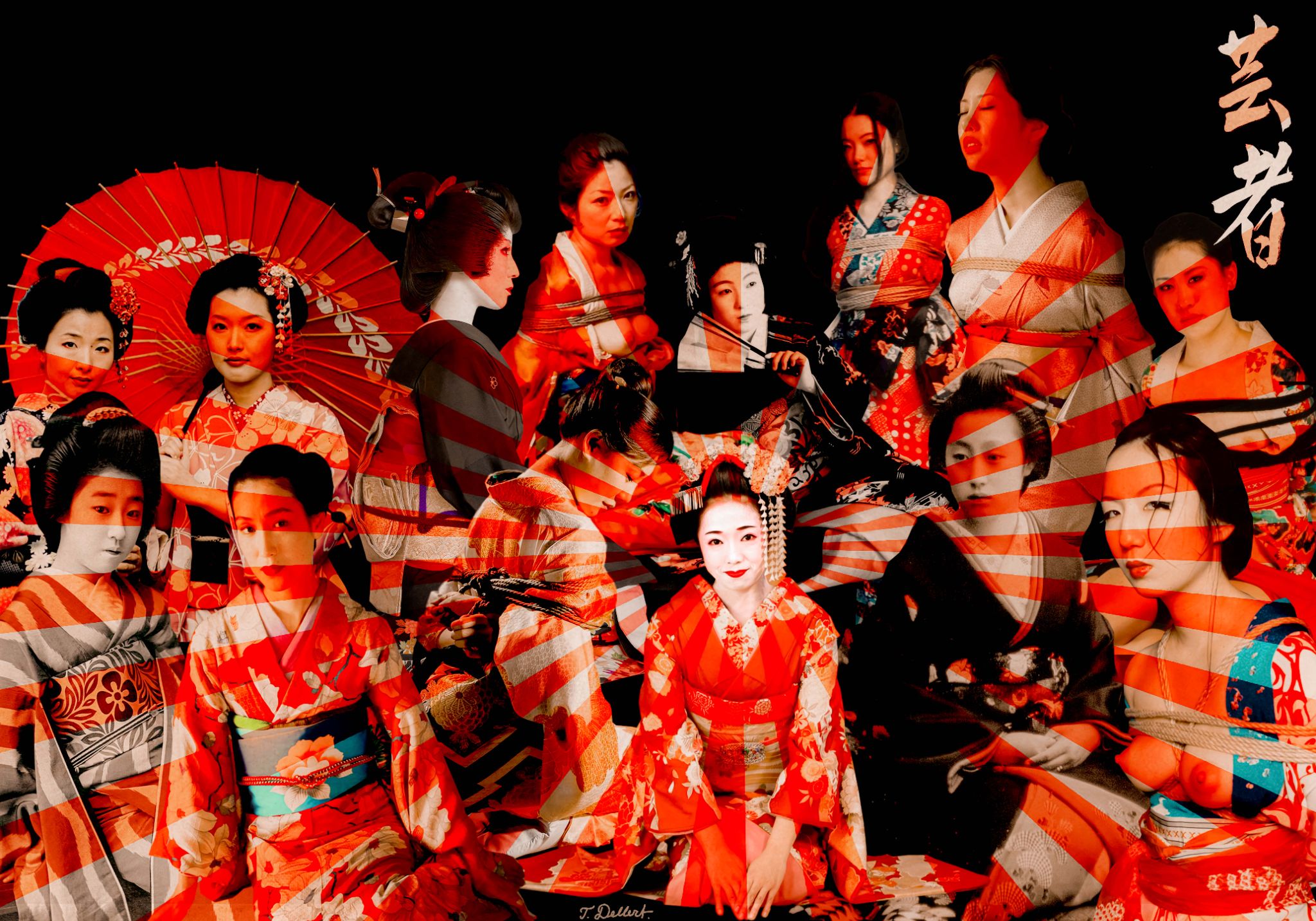 Geishas , Samurais and Cherry Blossom 